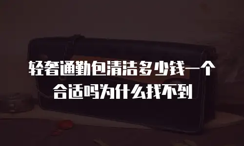 轻奢通勤包清洁多少钱一个合适吗为什么找不到