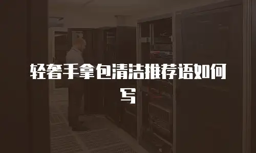 轻奢手拿包清洁推荐语如何写