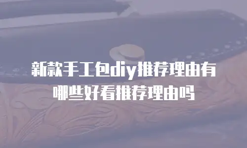 新款手工包diy推荐理由有哪些好看推荐理由吗