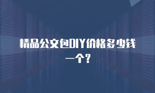 精品公文包DIY价格多少钱一个？