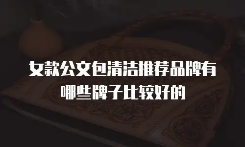 女款公文包清洁推荐品牌有哪些牌子比较好的