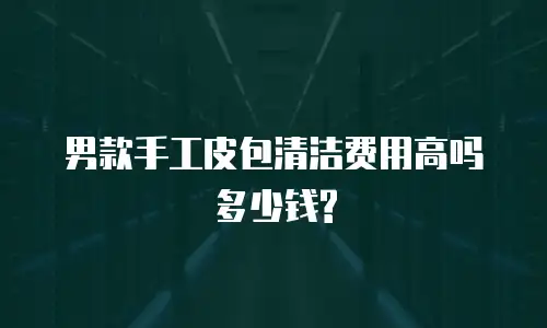 男款手工皮包清洁费用高吗多少钱?