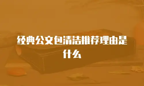 经典公文包清洁推荐理由是什么