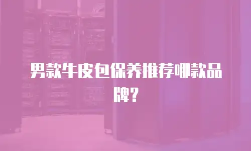 男款牛皮包保养推荐哪款品牌？