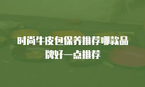 时尚牛皮包保养推荐哪款品牌好一点推荐
