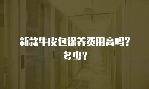 新款牛皮包保养费用高吗？多少？