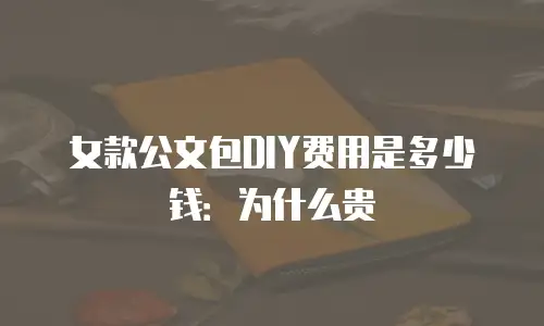 女款公文包DIY费用是多少钱：为什么贵