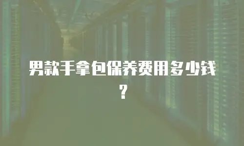 男款手拿包保养费用多少钱？