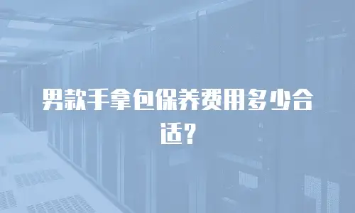 男款手拿包保养费用多少合适？