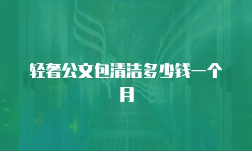 轻奢公文包清洁多少钱一个月