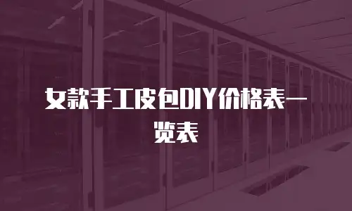 女款手工皮包DIY价格表一览表