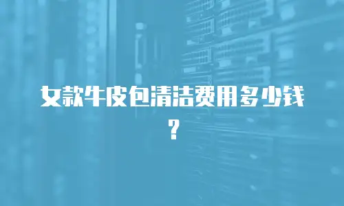 女款牛皮包清洁费用多少钱？