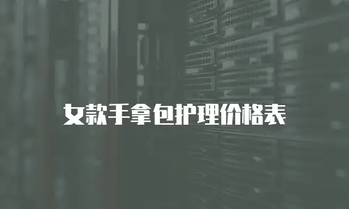 女款手拿包护理价格表