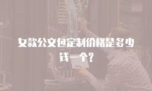 女款公文包定制价格是多少钱一个?