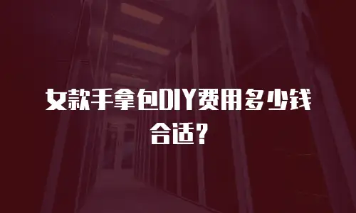 女款手拿包DIY费用多少钱合适？