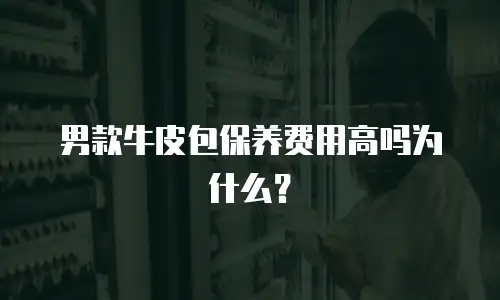 男款牛皮包保养费用高吗为什么？