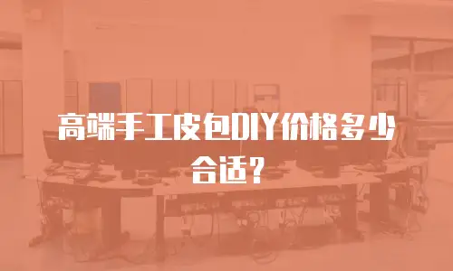 高端手工皮包DIY价格多少合适？