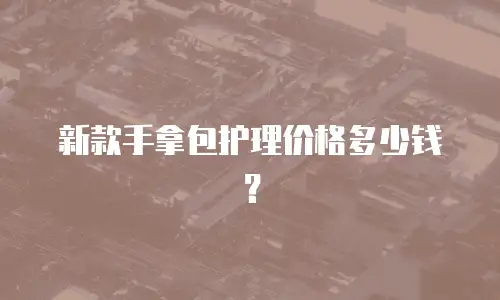 新款手拿包护理价格多少钱？