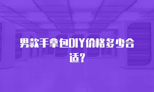 男款手拿包DIY价格多少合适？
