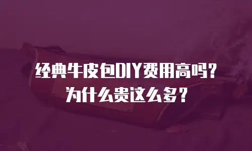 经典牛皮包DIY费用高吗？为什么贵这么多？