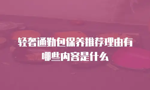 轻奢通勤包保养推荐理由有哪些内容是什么