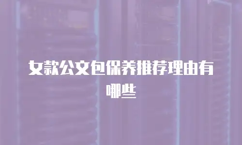 女款公文包保养推荐理由有哪些