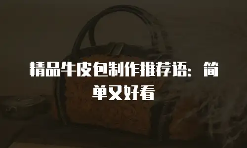精品牛皮包制作推荐语：简单又好看