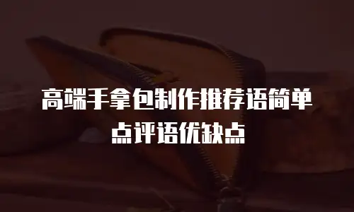 高端手拿包制作推荐语简单点评语优缺点