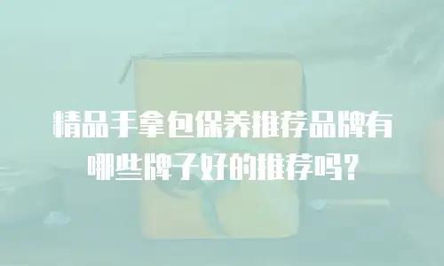 精品手拿包保养推荐品牌有哪些牌子好的推荐吗？
