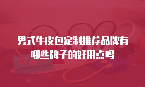 男式牛皮包定制推荐品牌有哪些牌子的好用点吗