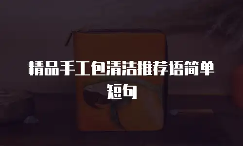 精品手工包清洁推荐语简单短句