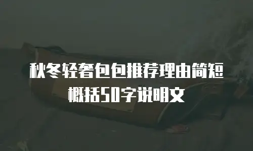 秋冬轻奢包包推荐理由简短概括50字说明文