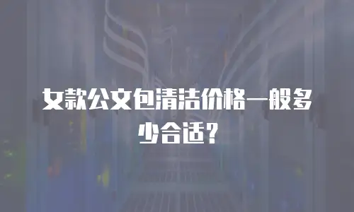 女款公文包清洁价格一般多少合适？