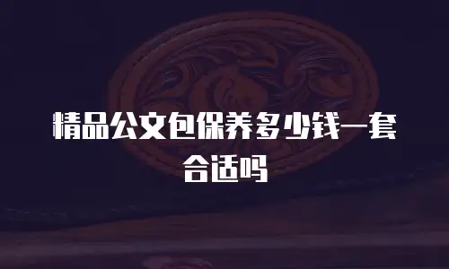 精品公文包保养多少钱一套合适吗