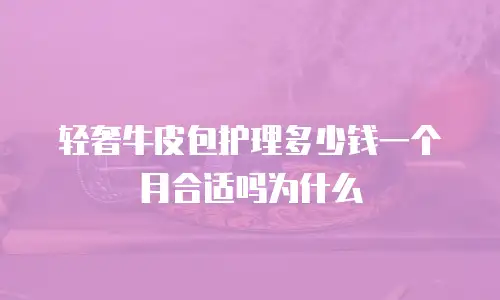 轻奢牛皮包护理多少钱一个月合适吗为什么