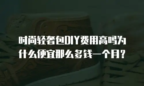 时尚轻奢包DIY费用高吗为什么便宜那么多钱一个月？