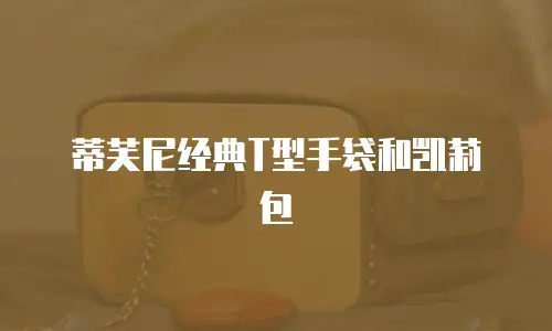 蒂芙尼经典T型手袋和凯莉包