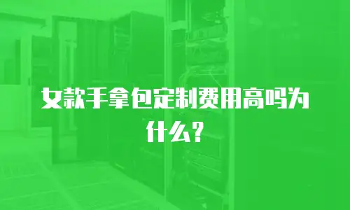 女款手拿包定制费用高吗为什么？
