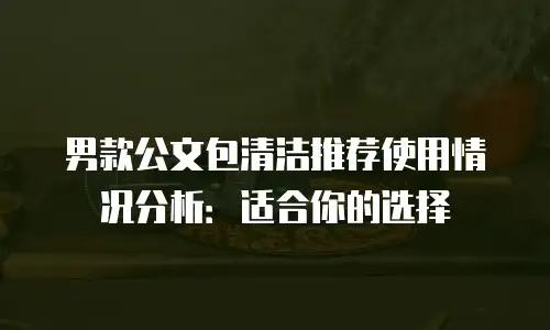 男款公文包清洁推荐使用情况分析：适合你的选择