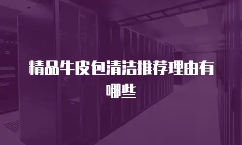 精品牛皮包清洁推荐理由有哪些