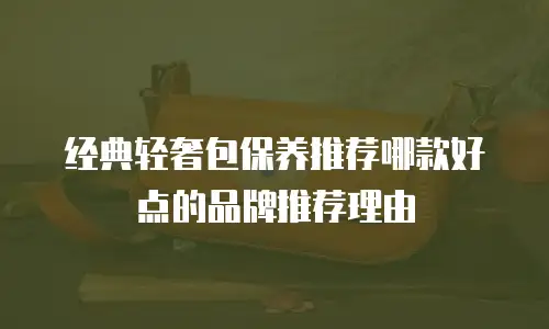 经典轻奢包保养推荐哪款好点的品牌推荐理由