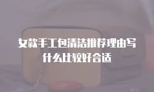 女款手工包清洁推荐理由写什么比较好合适