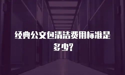 经典公文包清洁费用标准是多少?