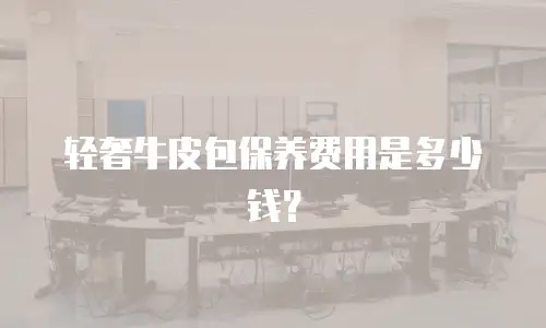 轻奢牛皮包保养费用是多少钱？