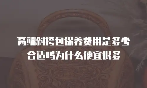 高端斜挎包保养费用是多少合适吗为什么便宜很多
