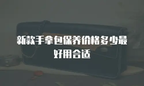 新款手拿包保养价格多少最好用合适