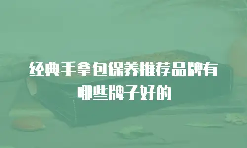 经典手拿包保养推荐品牌有哪些牌子好的