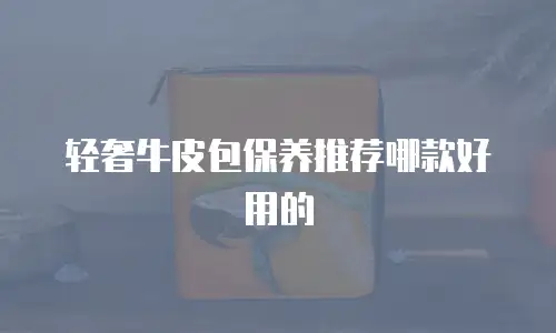 轻奢牛皮包保养推荐哪款好用的