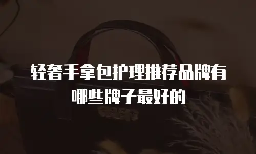 轻奢手拿包护理推荐品牌有哪些牌子最好的