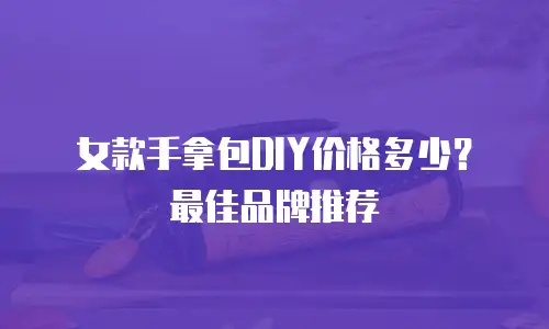 女款手拿包DIY价格多少？最佳品牌推荐